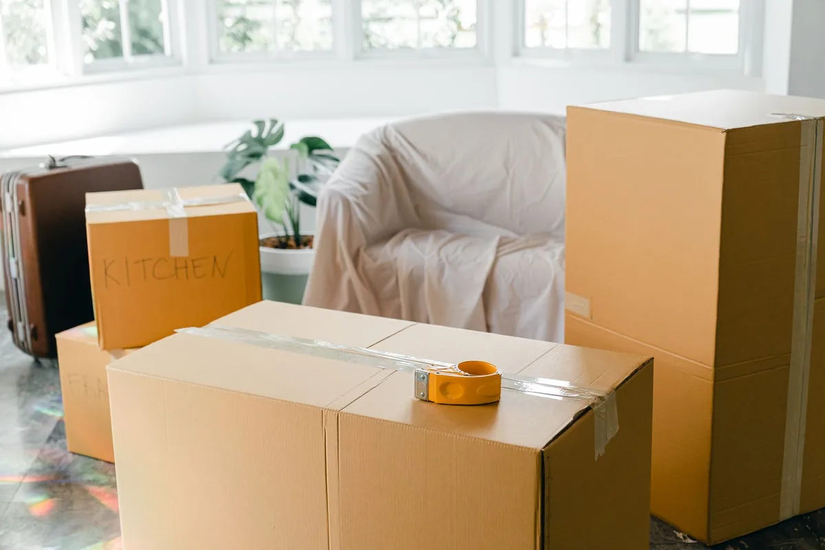 Hoarding Cleanup in Northdale, FL